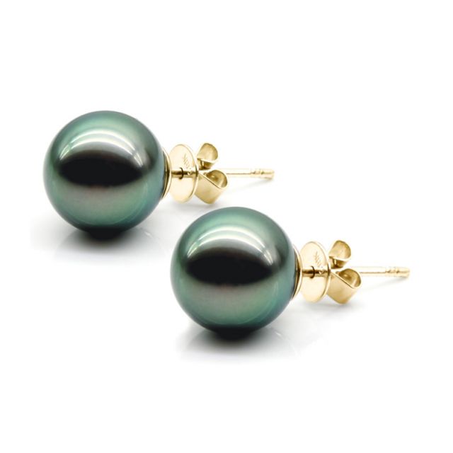 Boucles oreilles clous, or jaune - Perles de Tahiti noires, orient vert - 9/10mm - GEMME