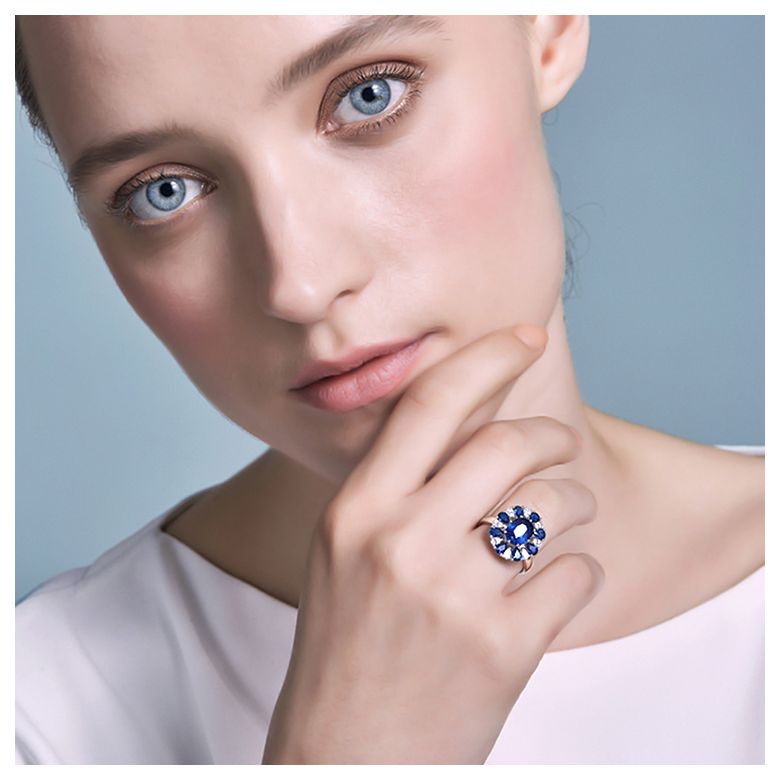 Marguerite du cap 2 - 7