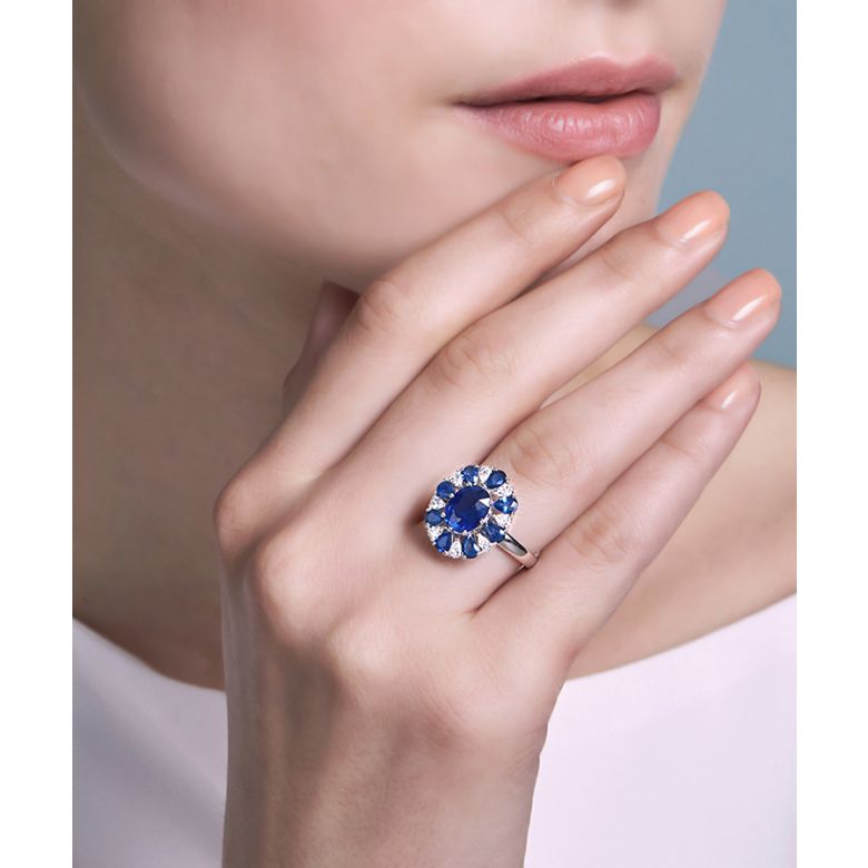 Marguerite du cap 2 - 4