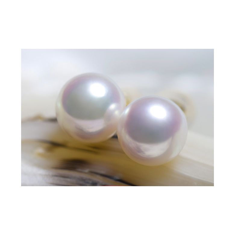 Boucles oreille or jaune - Clous oreilles perles Akoya Japon, 7.5/8mm - 2